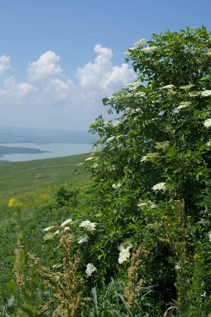 IMG_        </div>
        
        <div class=