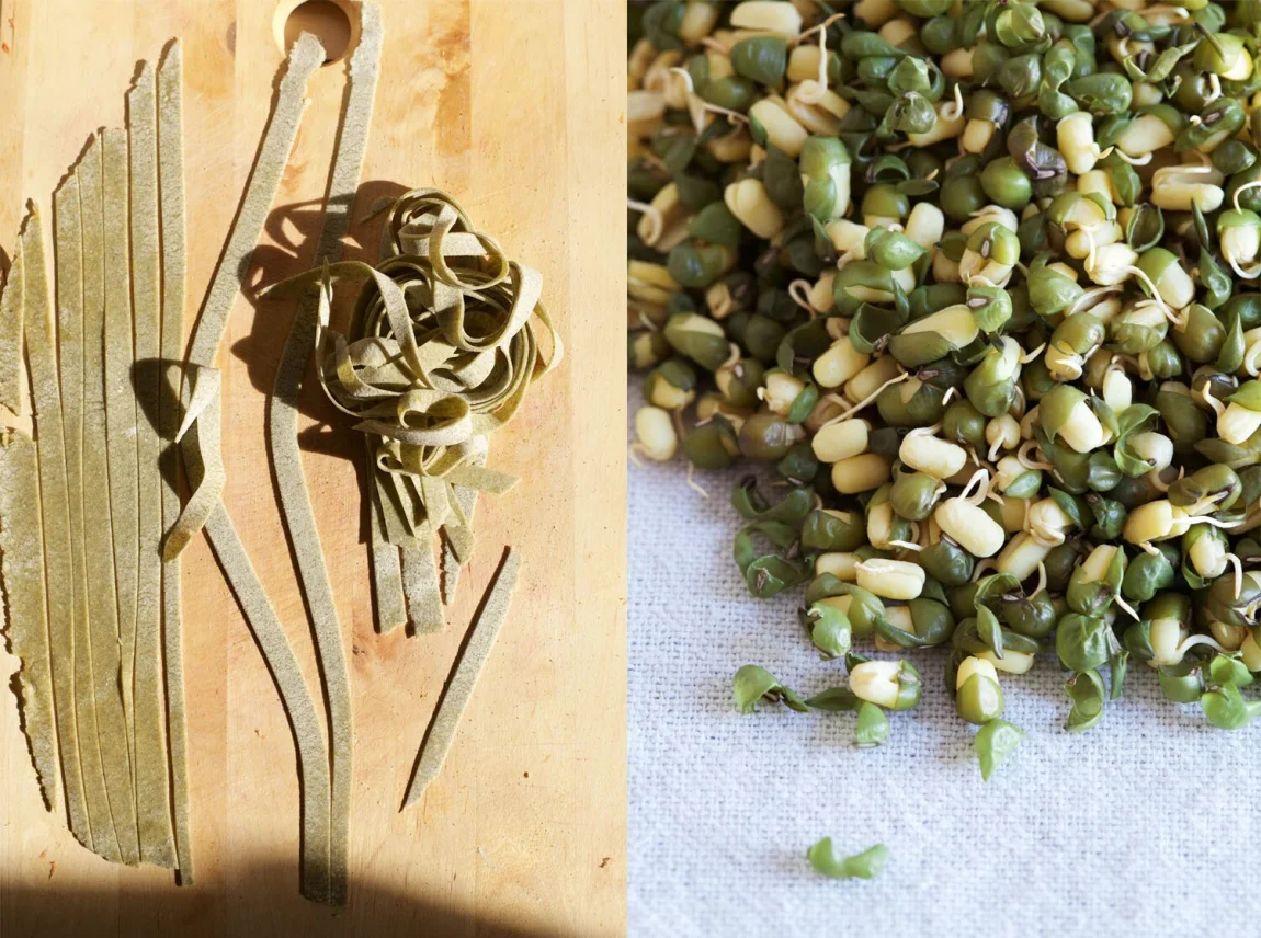 mung bean pasta
