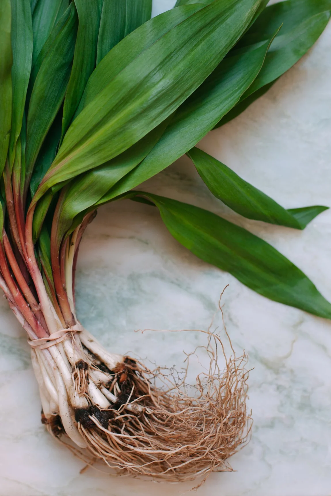 Ramp Flatbread Pizza - Golubka Kitchen2