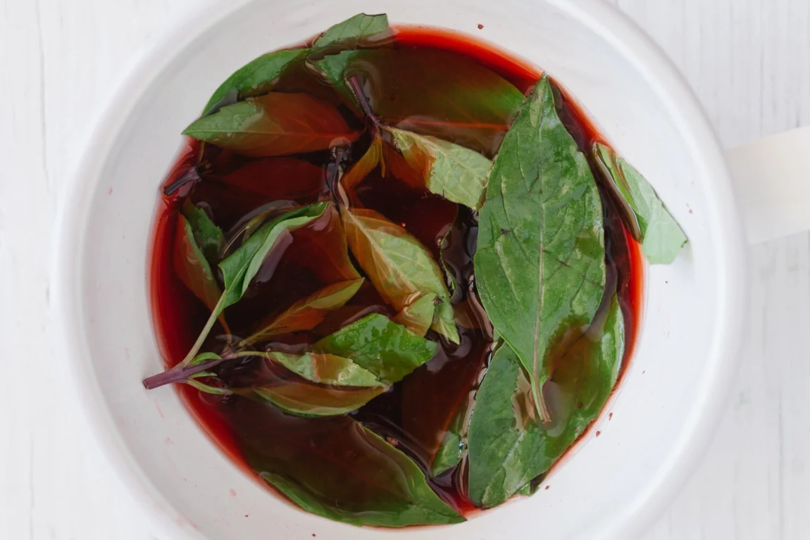 Strawberry Thai Basil Sorbet | Golubka Kitchen