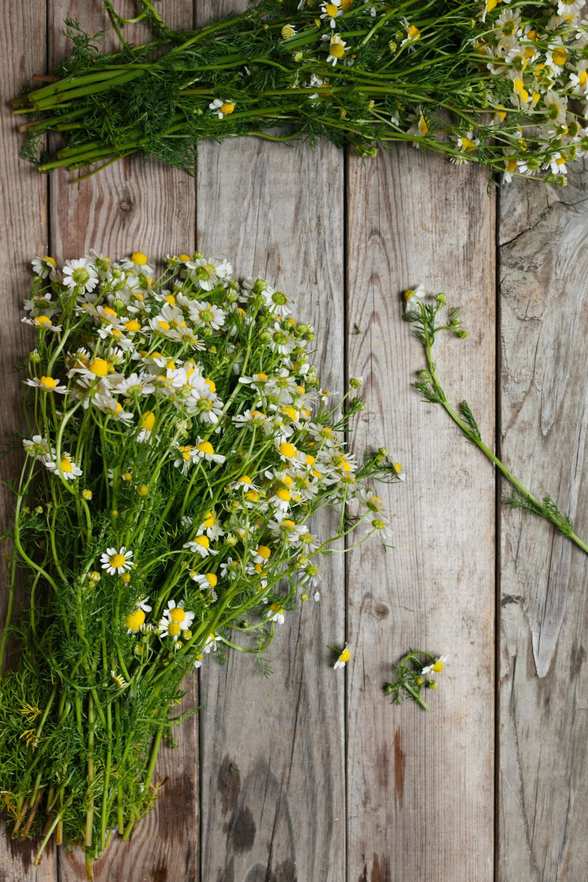 Chamomile Honey-Lemon Ice Cream | Golubka Kitchen