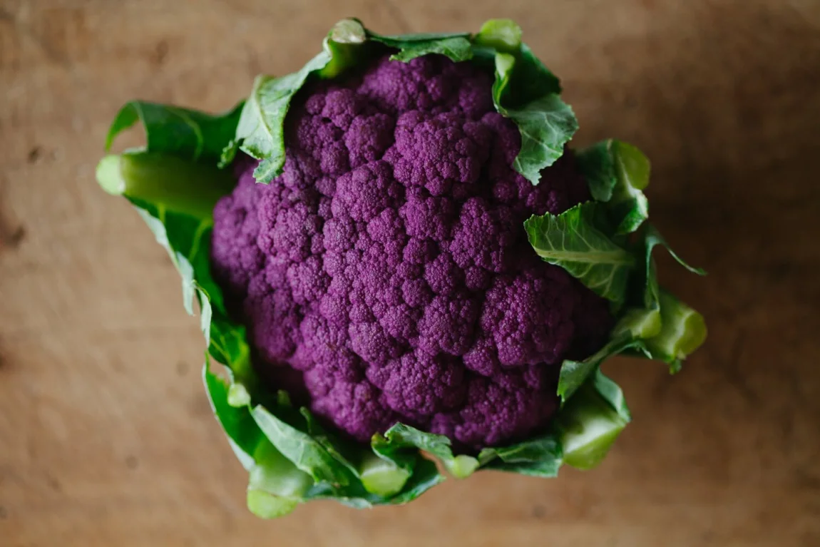 Marinated Summer Vegetables and Beans over Freekeh | Golubka Kitchen