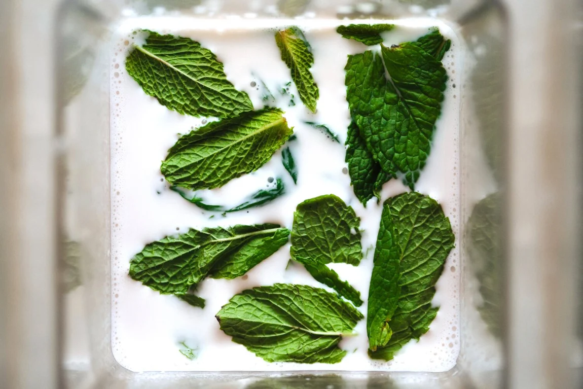 Mint and Chocolate Milkshake with Aquafaba Whipped Cream | Golubka Kitchen