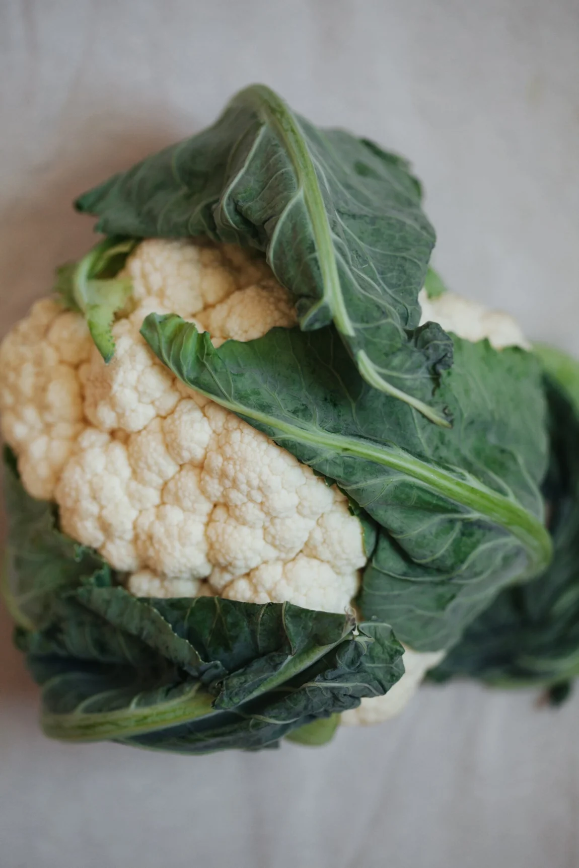 Sprouted Almond Romesco Pasta with Roasted Cauliflower and Blistered Tomatoes | Golubka Kitchen