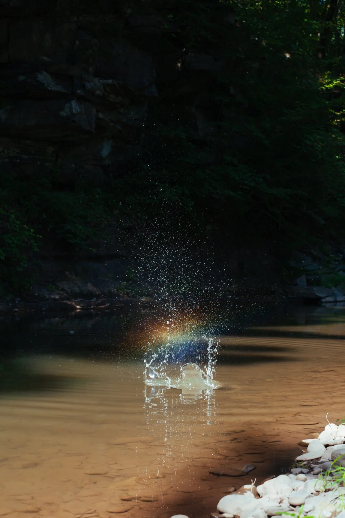 Woodstock | Golubka Kitchen