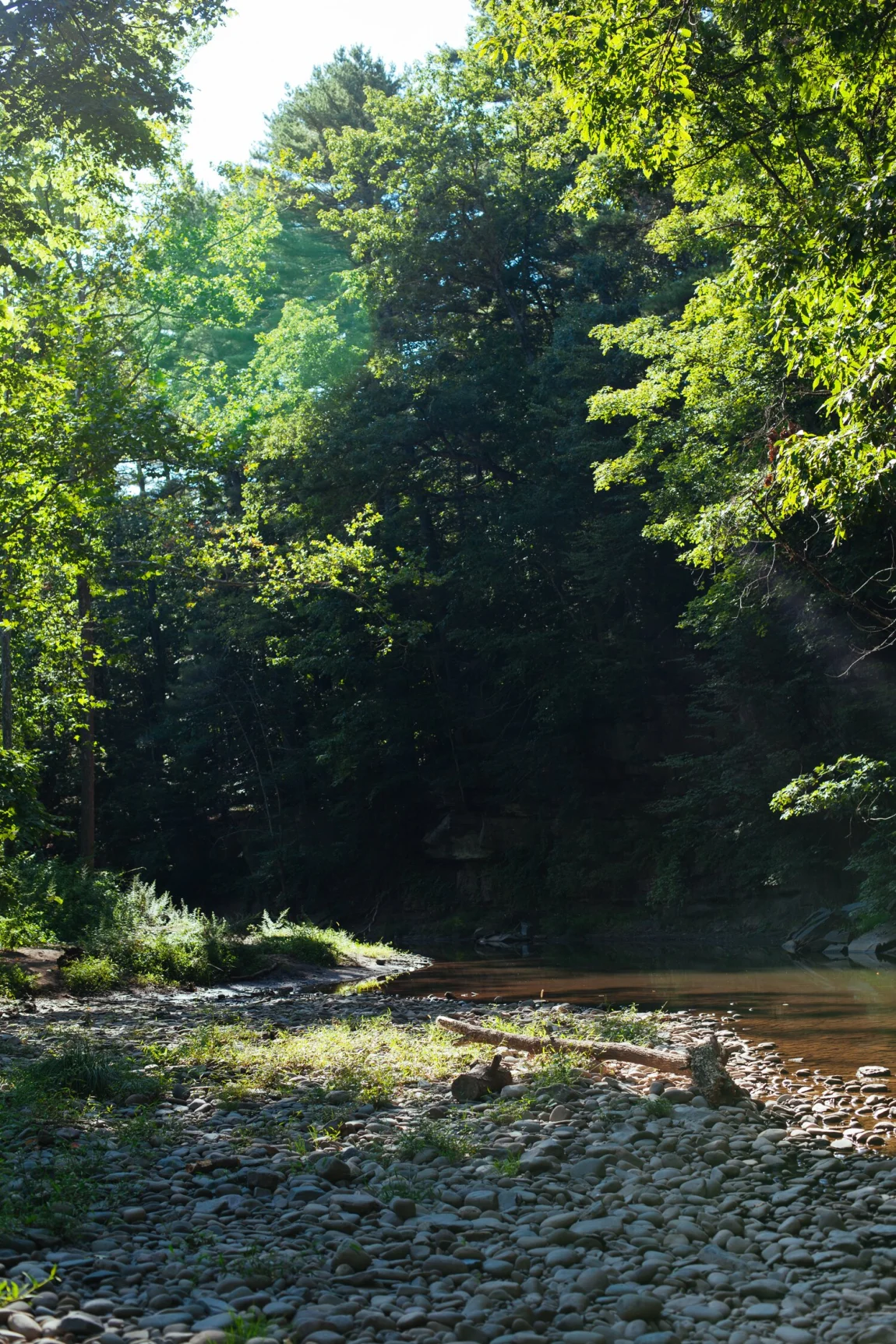 Woodstock | Golubka Kitchen