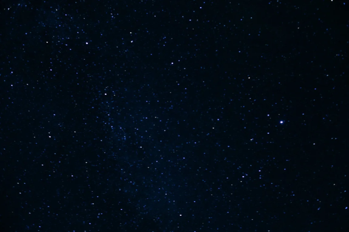 Woodstock | Golubka Kitchen