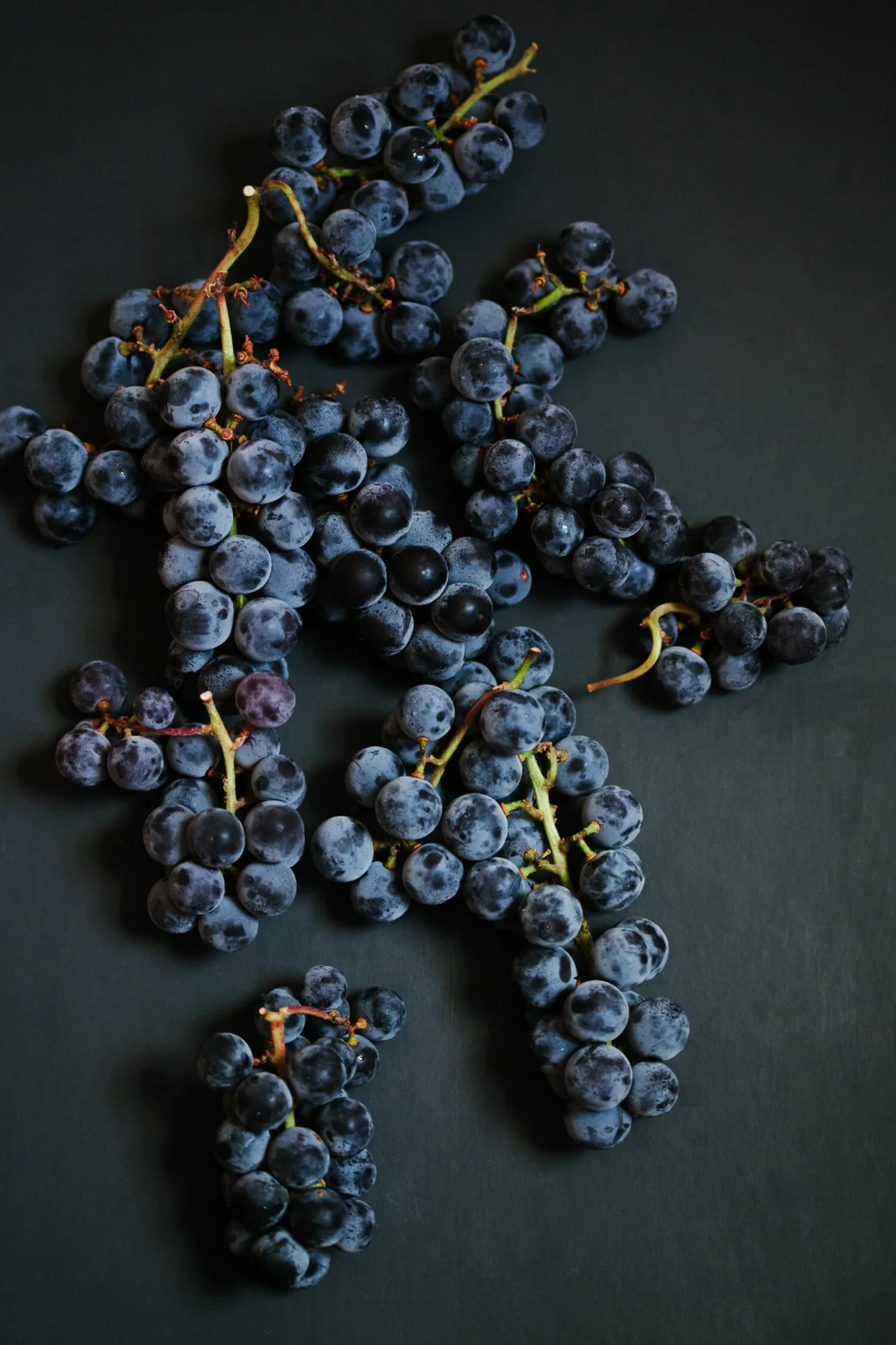 Concord Grape Fruit and Nut Cake | Golubka Kitchen