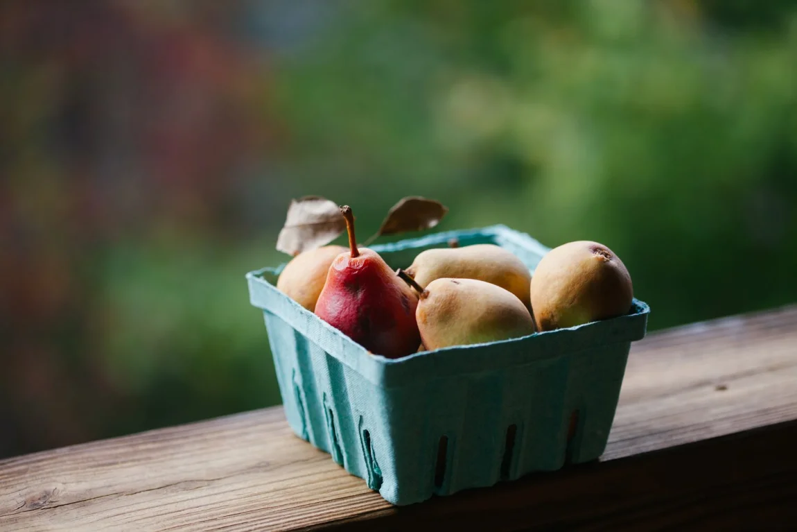 Pear Cranberry Chai | Golubka Kitchen