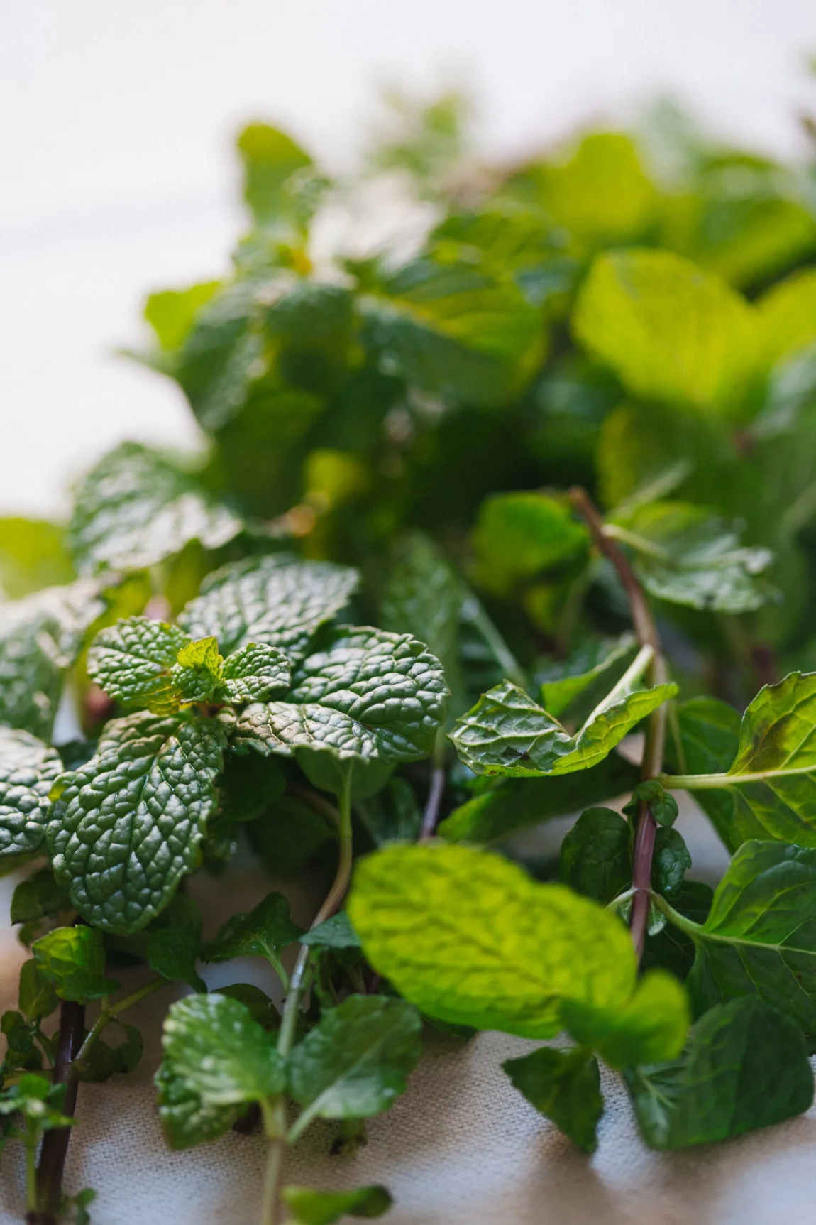 Spiced Kombucha Moscow Mules | Golubka Kitchen