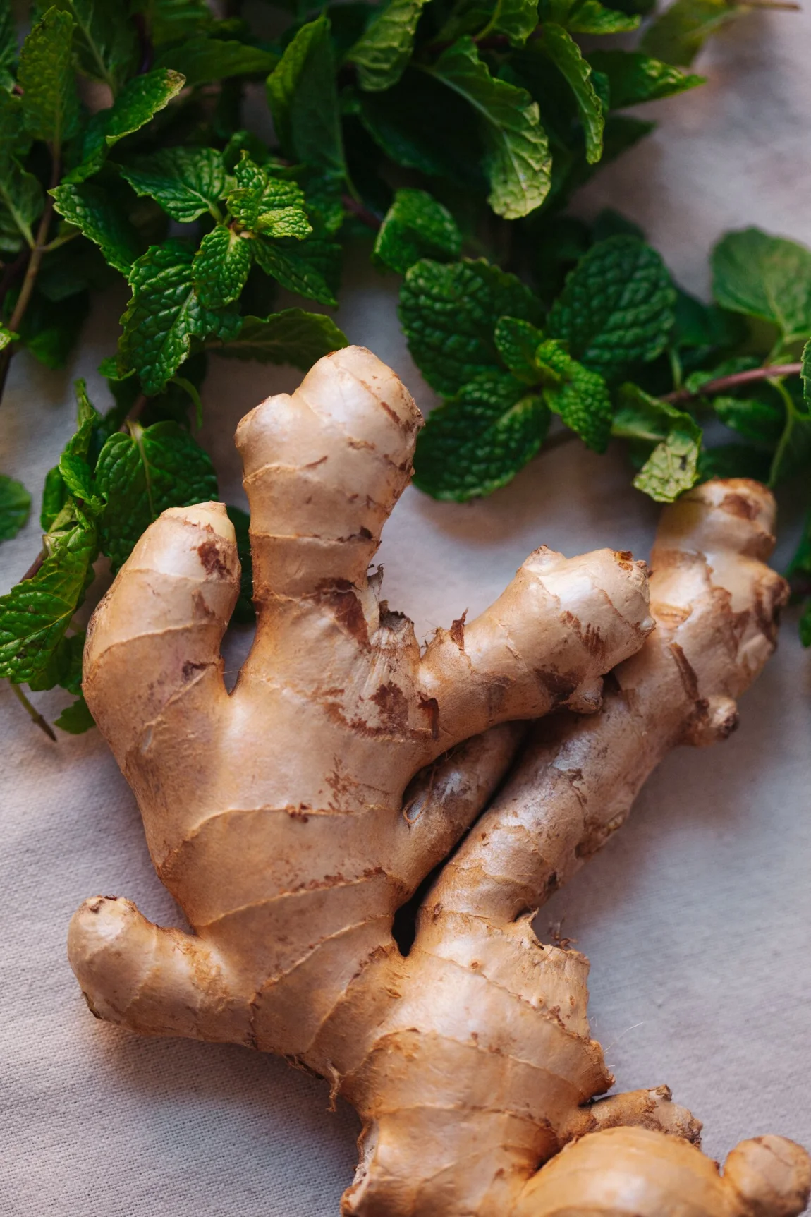 Spiced Kombucha Moscow Mules | Golubka Kitchen