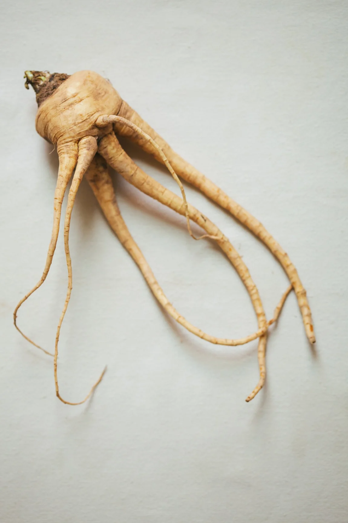 Winter Root and Fennel Soup with Greens Caramelized Cauliflower | Golubka Kitchen