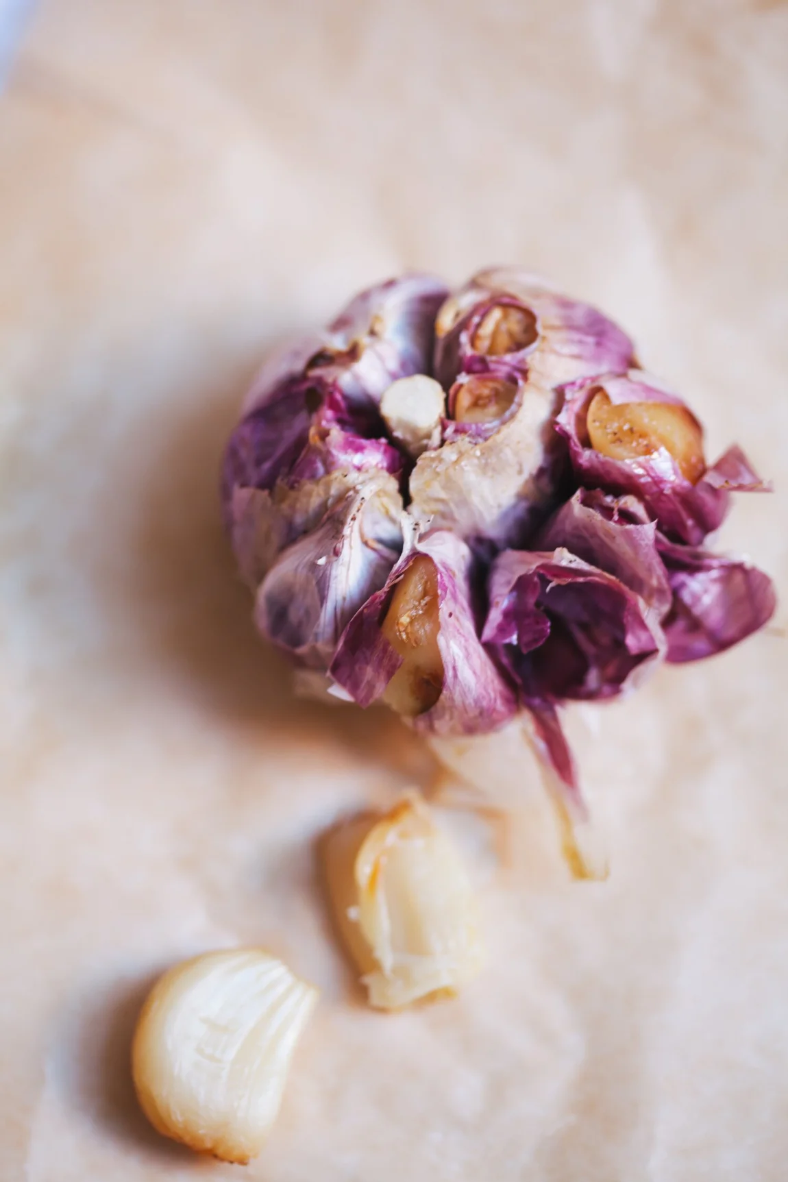 Roasted Garlic and Parsnip Hummus - Golubka Kitchen