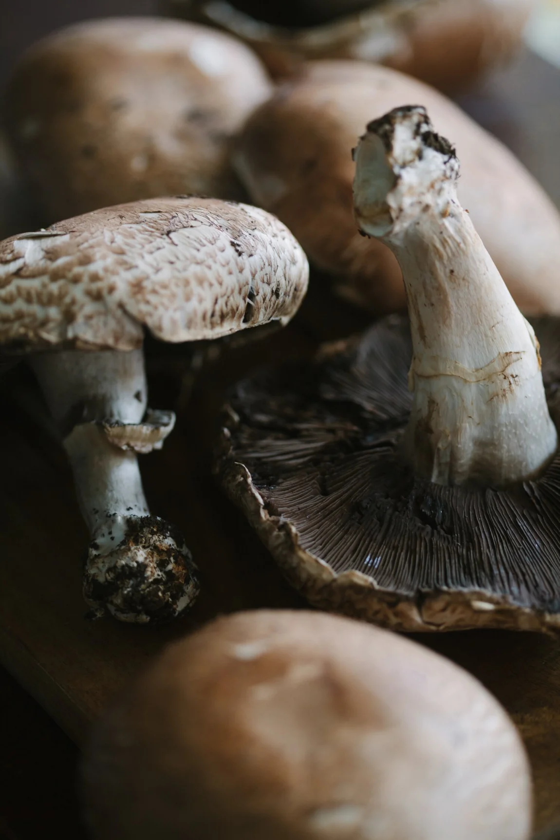 Portobello Nachos - Golubka Kitchen