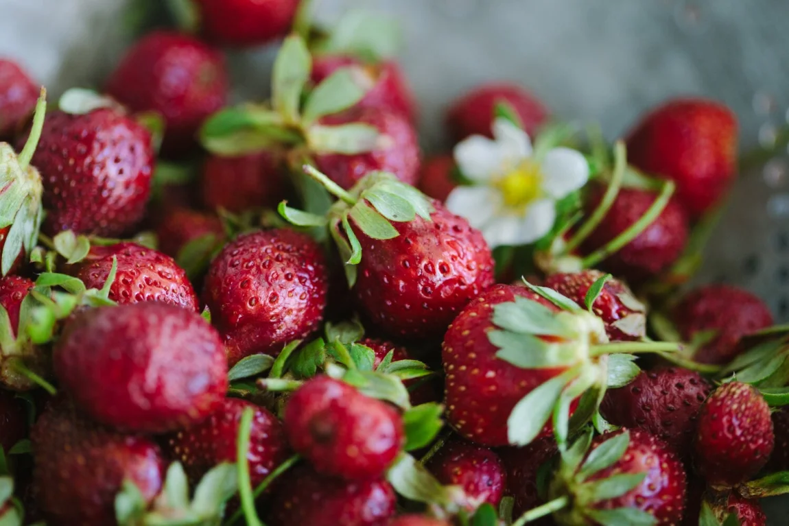 Strawberry Guacamole - Golubka Kitchen