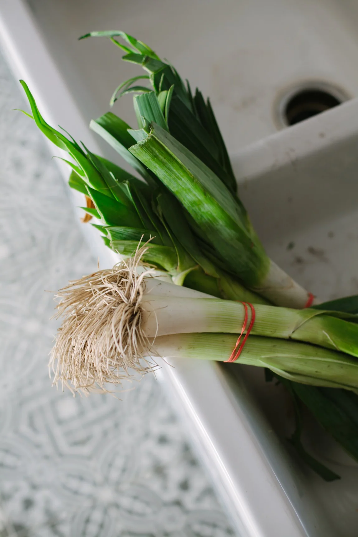 Braised Leeks with Cauliflower White Bean Mash - Golubka Kitchen