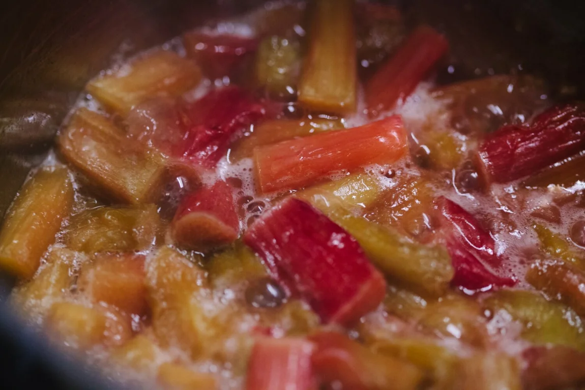 Quick Rhubarb Soft Serve - Golubka Kitchen