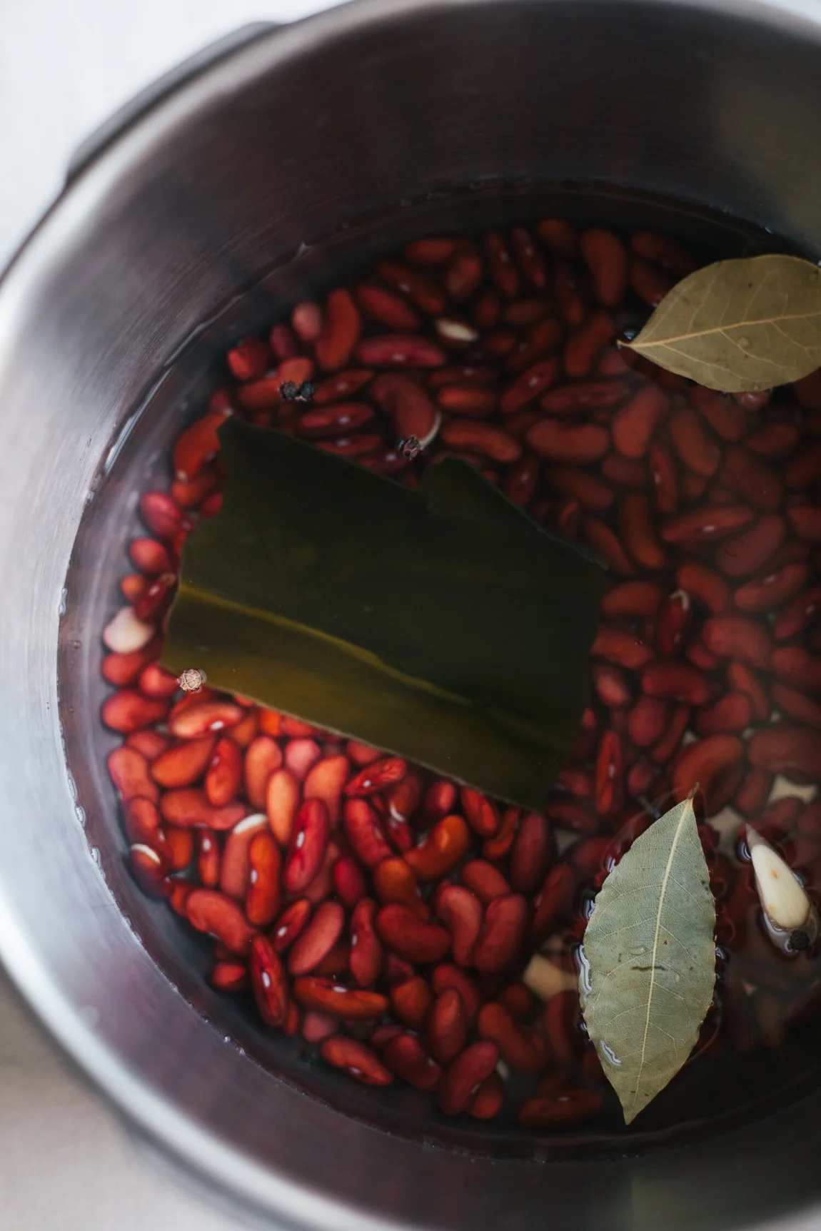 Perfect Pressure Cooker Beans + Quick Marinated Beans - Golubka Kitchen