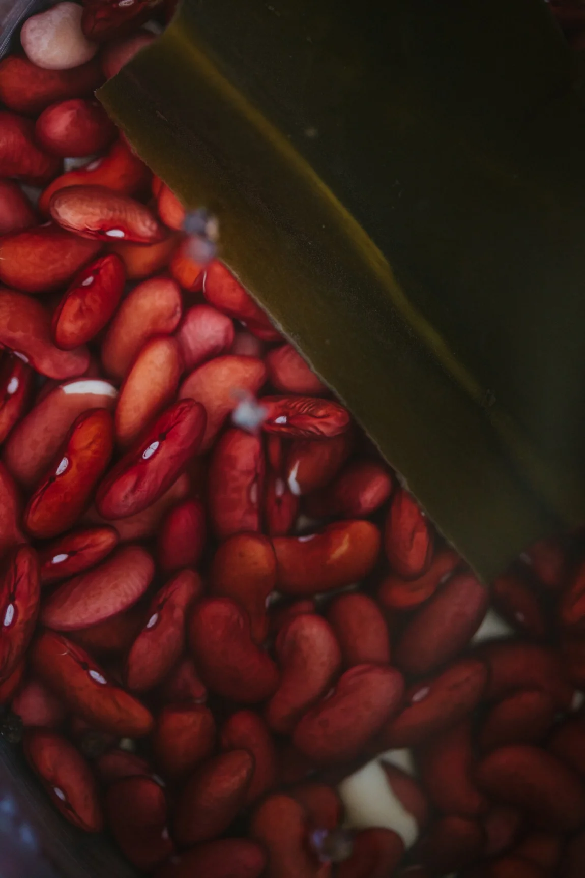 Perfect Pressure Cooker Beans + Quick Marinated Beans - Golubka Kitchen