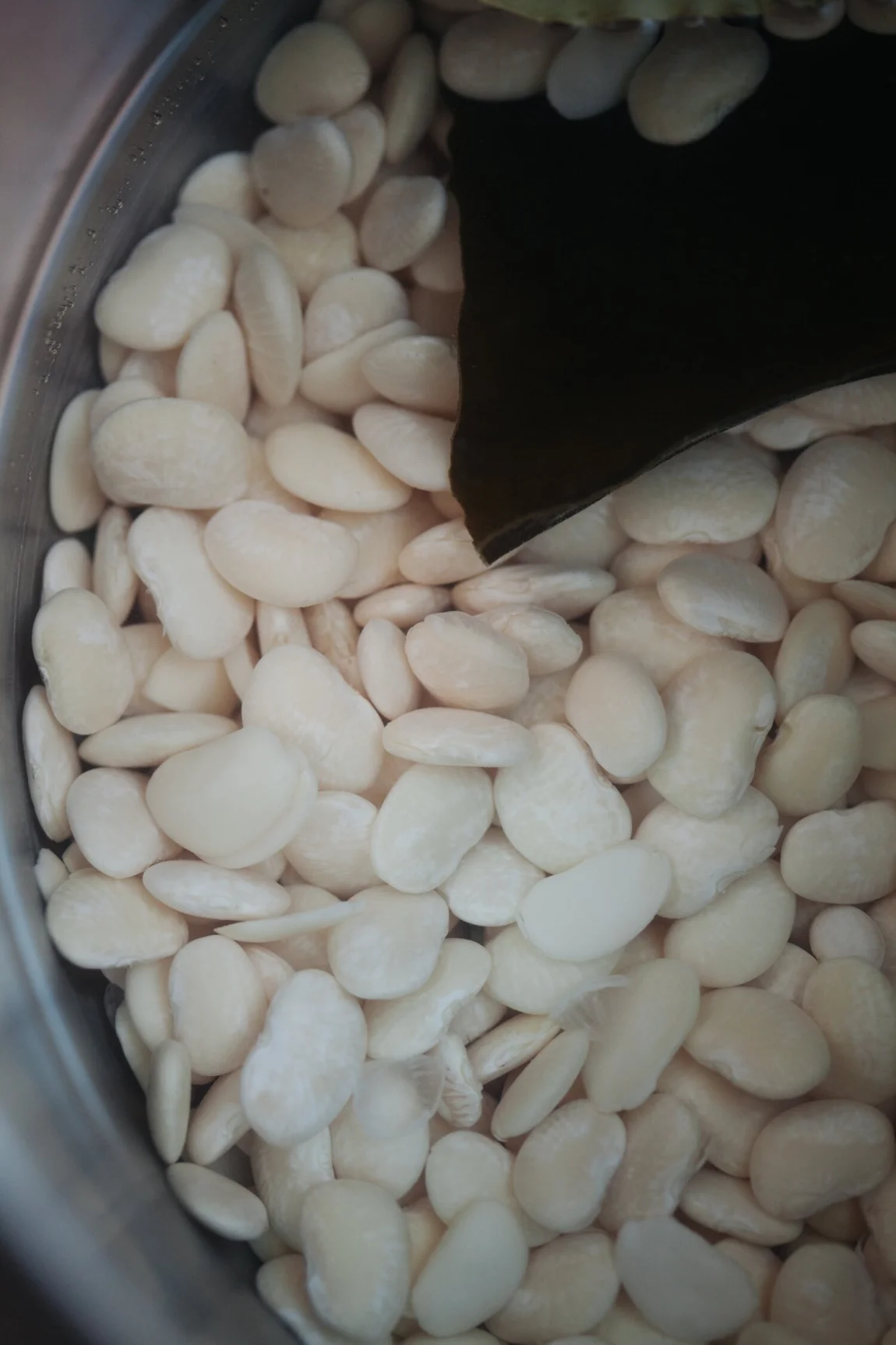 Perfect Pressure Cooker Beans + Quick Marinated Beans - Golubka Kitchen