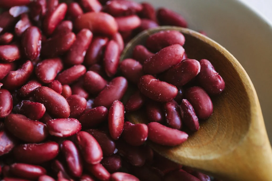 Perfect Pressure Cooker Beans + Quick Marinated Beans - Golubka Kitchen