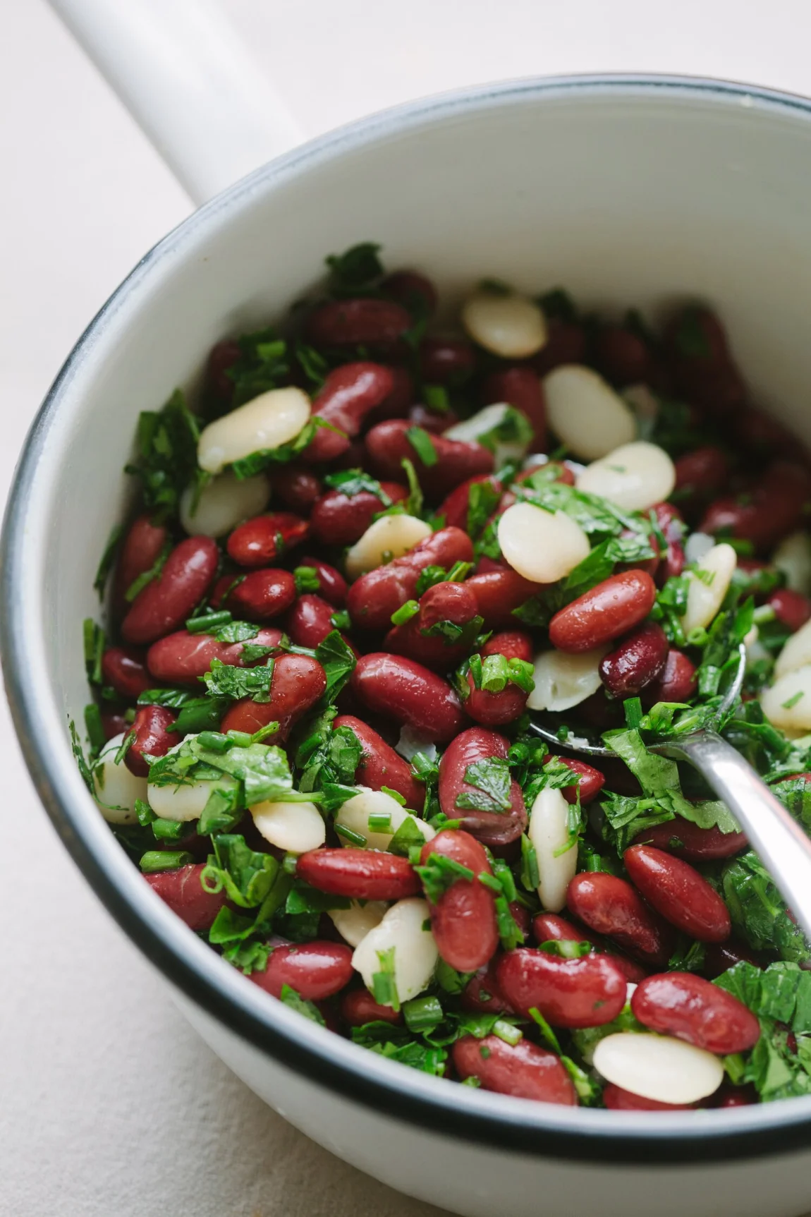 Perfect Pressure Cooker Beans + Quick Marinated Beans - Golubka Kitchen