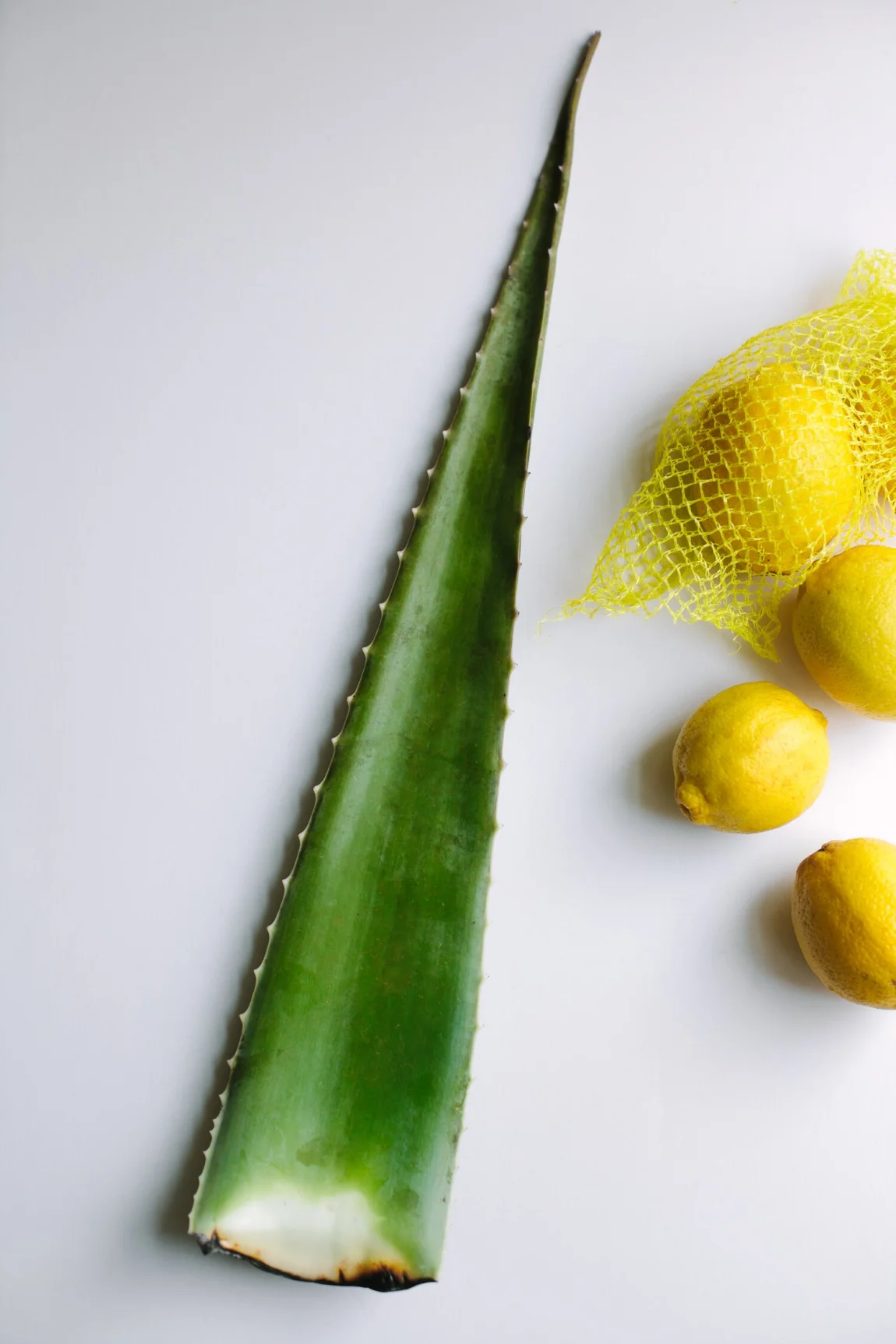 Minty Aloe and Cucumber Lemonade - Golubka Kitchen