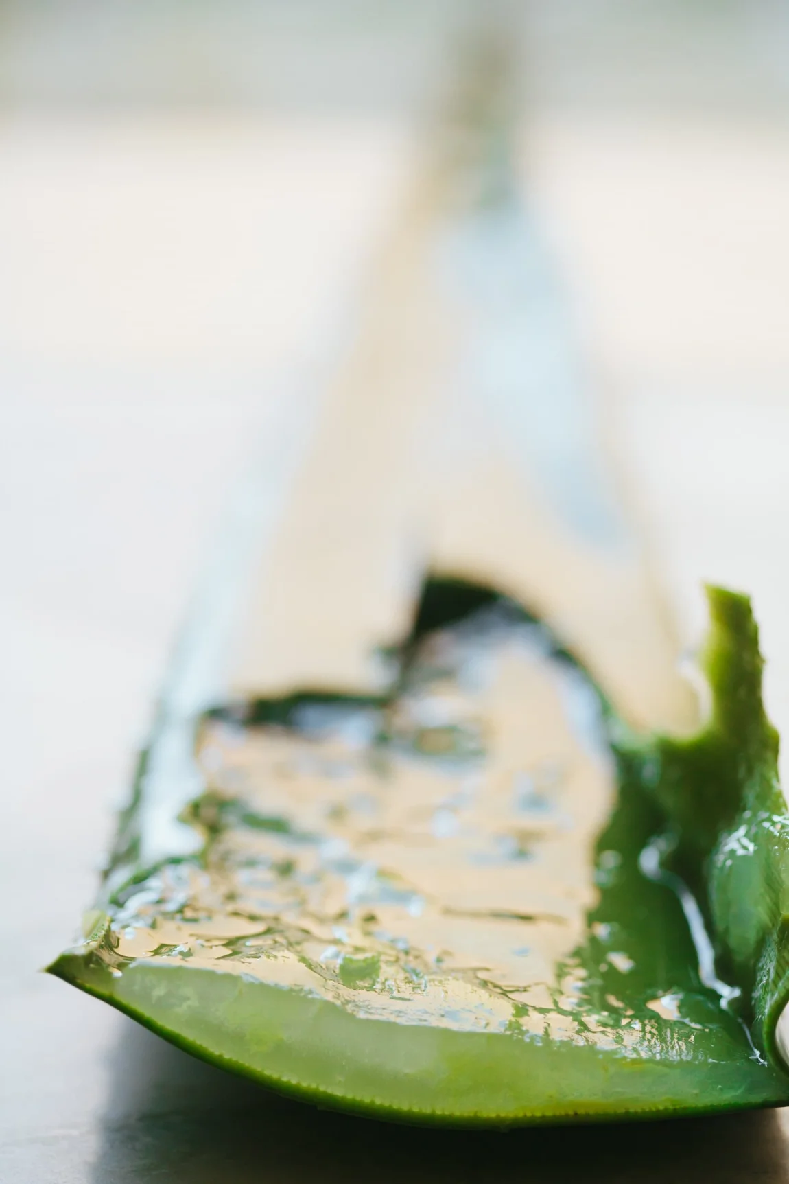 Minty Aloe and Cucumber Lemonade - Golubka Kitchen