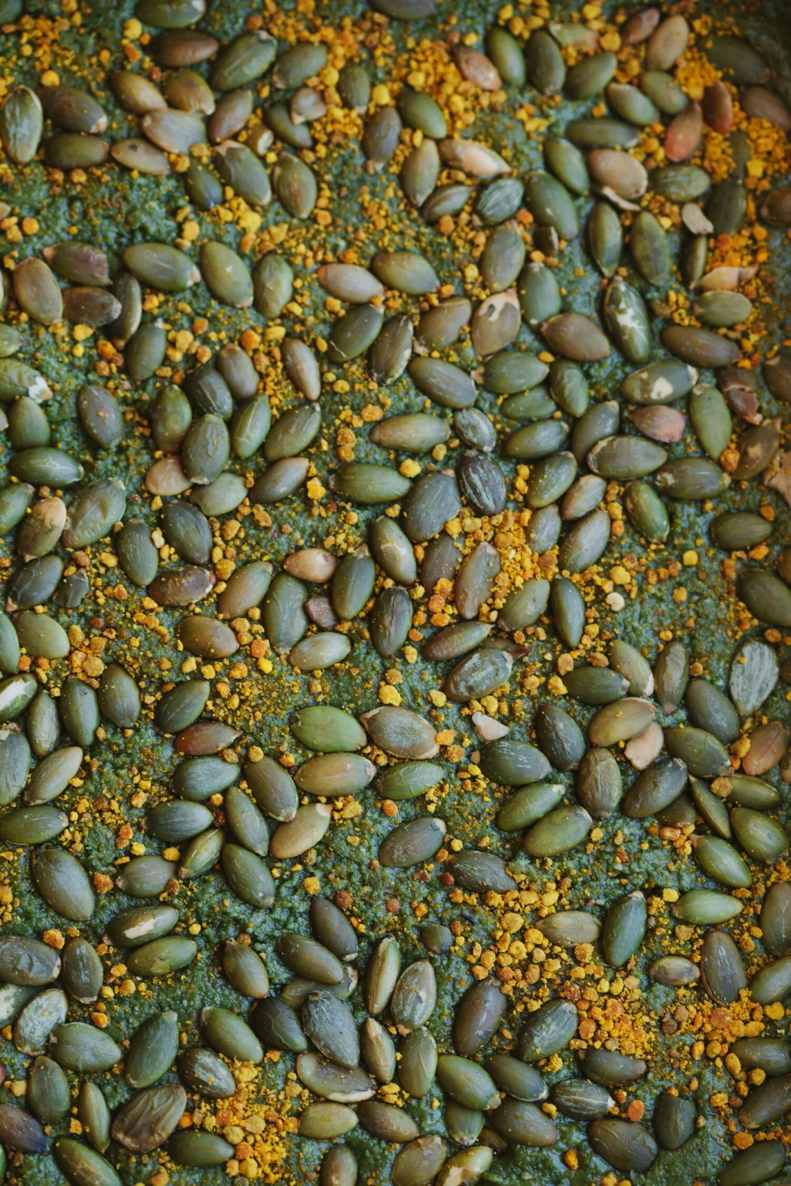 Pumpkinseed Caramel 'Twix' Bars - Golubka Kitchen