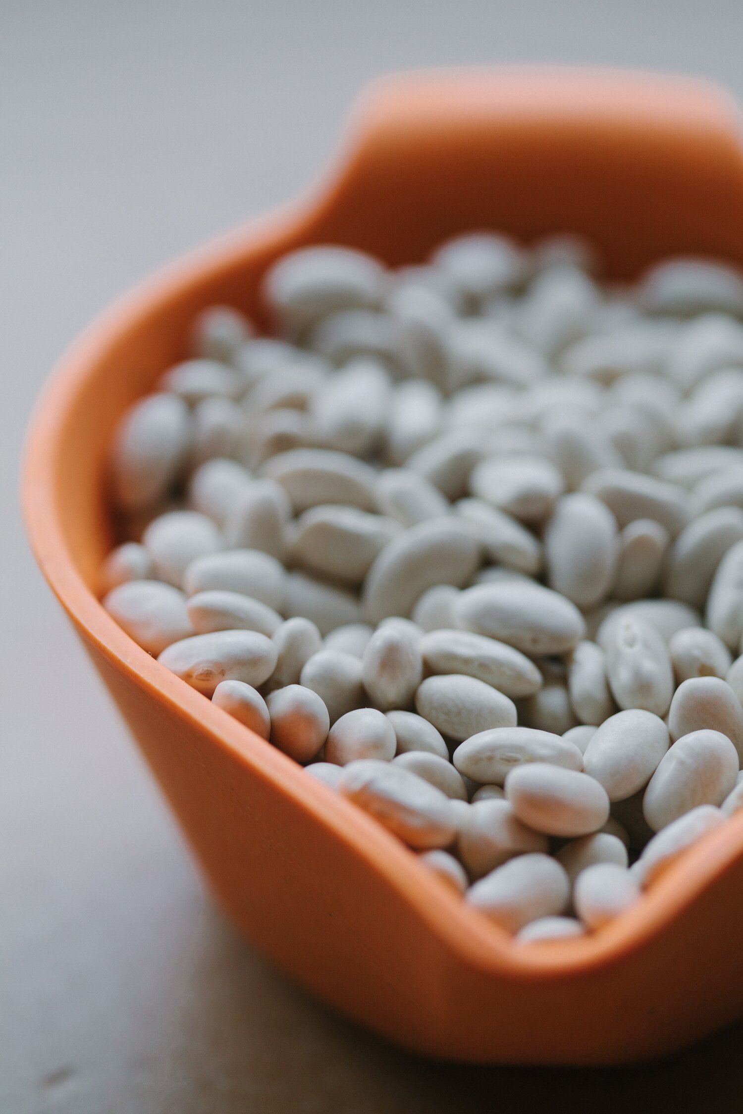 Summery White Bean 'Tuna' Sandwich - Golubka Kitchen