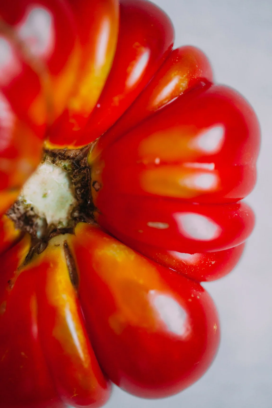 Red Lentil Gazpacho - Golubka Kitchen