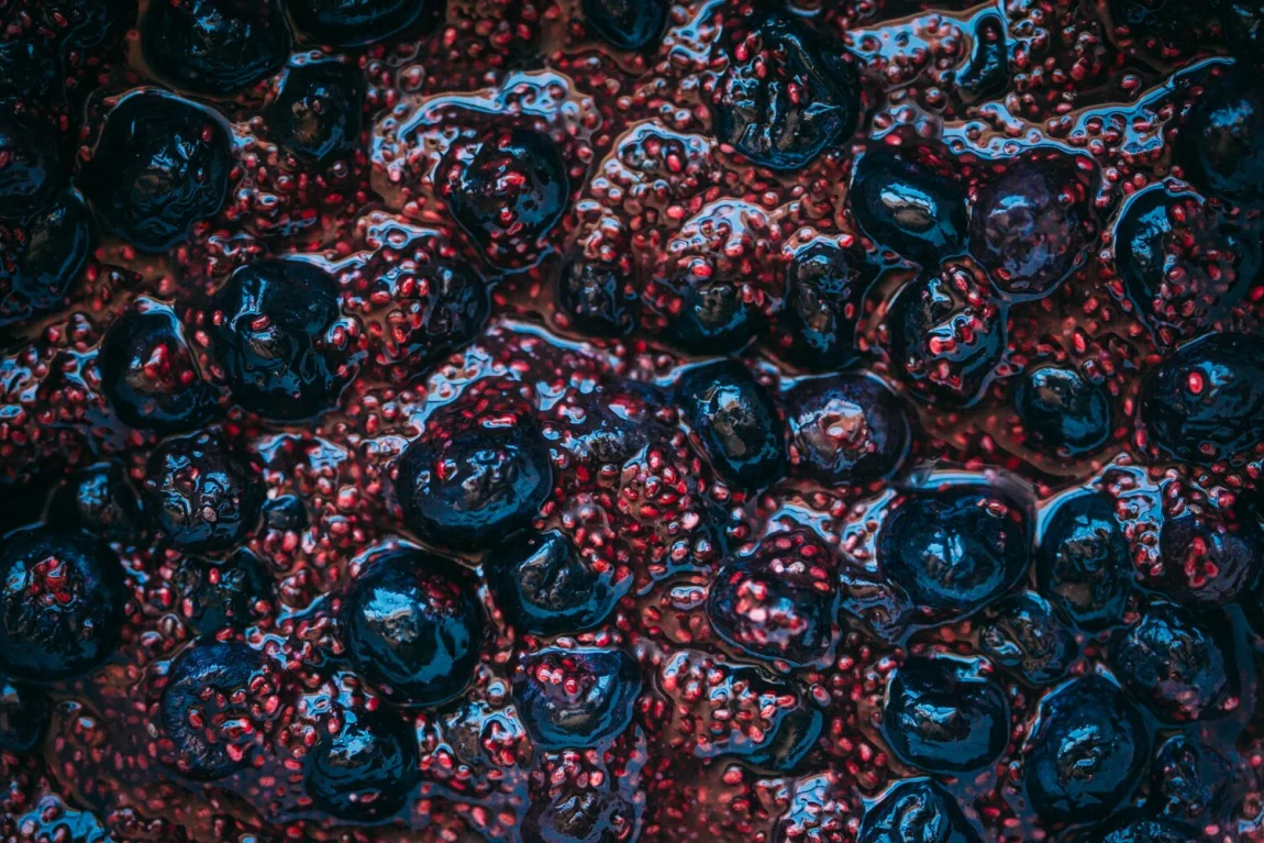 No Bake Blueberry Coconut Bars - Golubka Kitchen