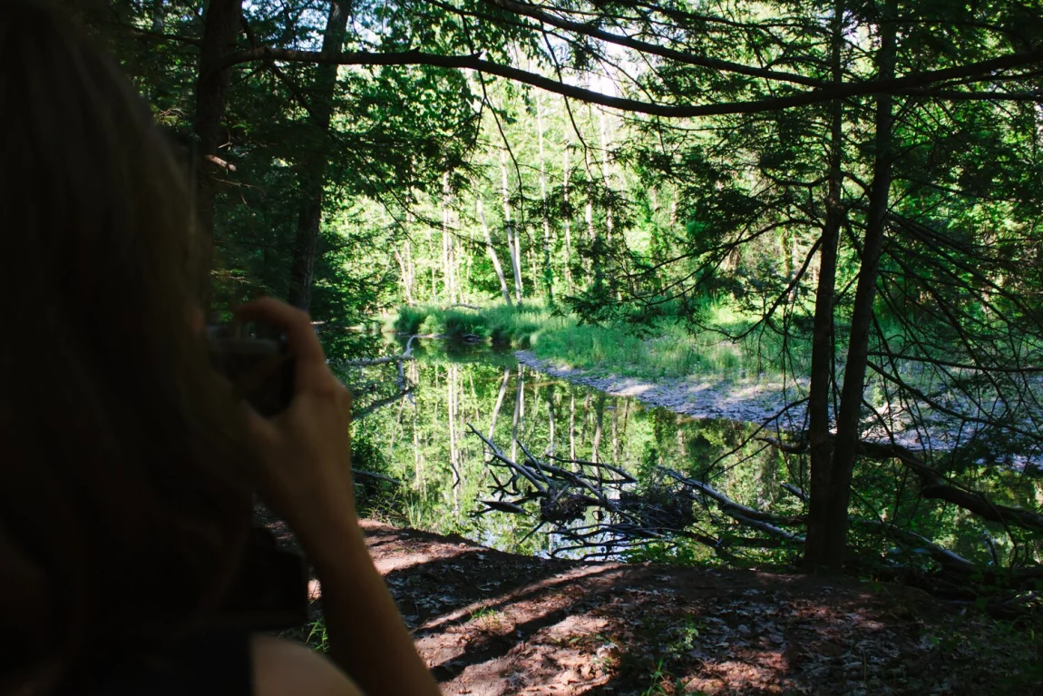 The Big Deep, Woodstock - Golubka Kitchen