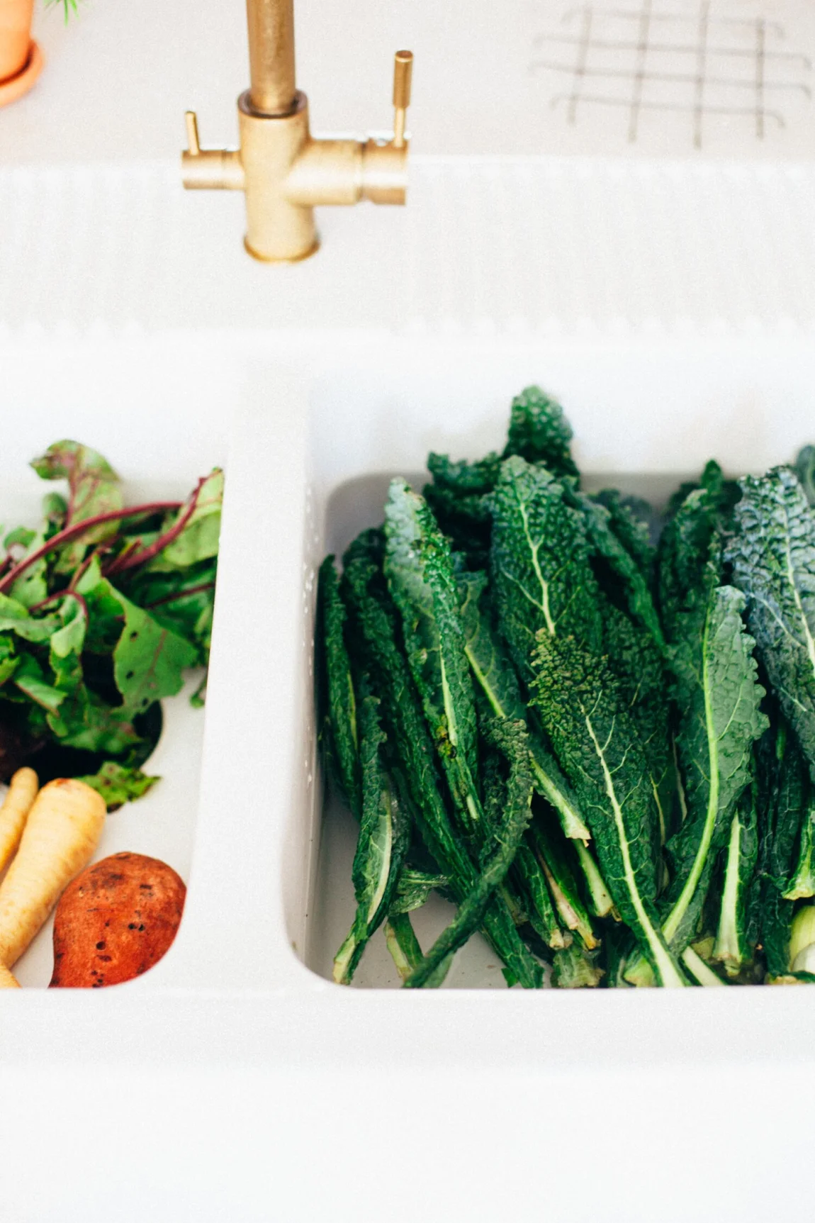 No-Recipe Creamy Soup - Golubka Kitchen