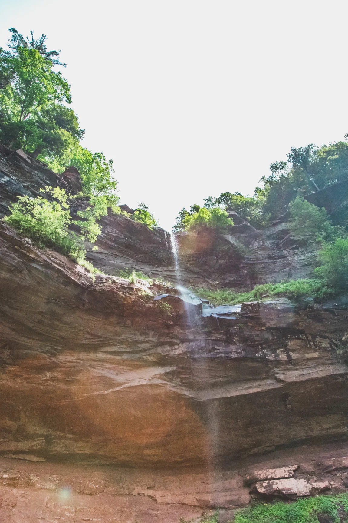 Vegan Chickpea Nicoise Salad - Golubka Kitchen