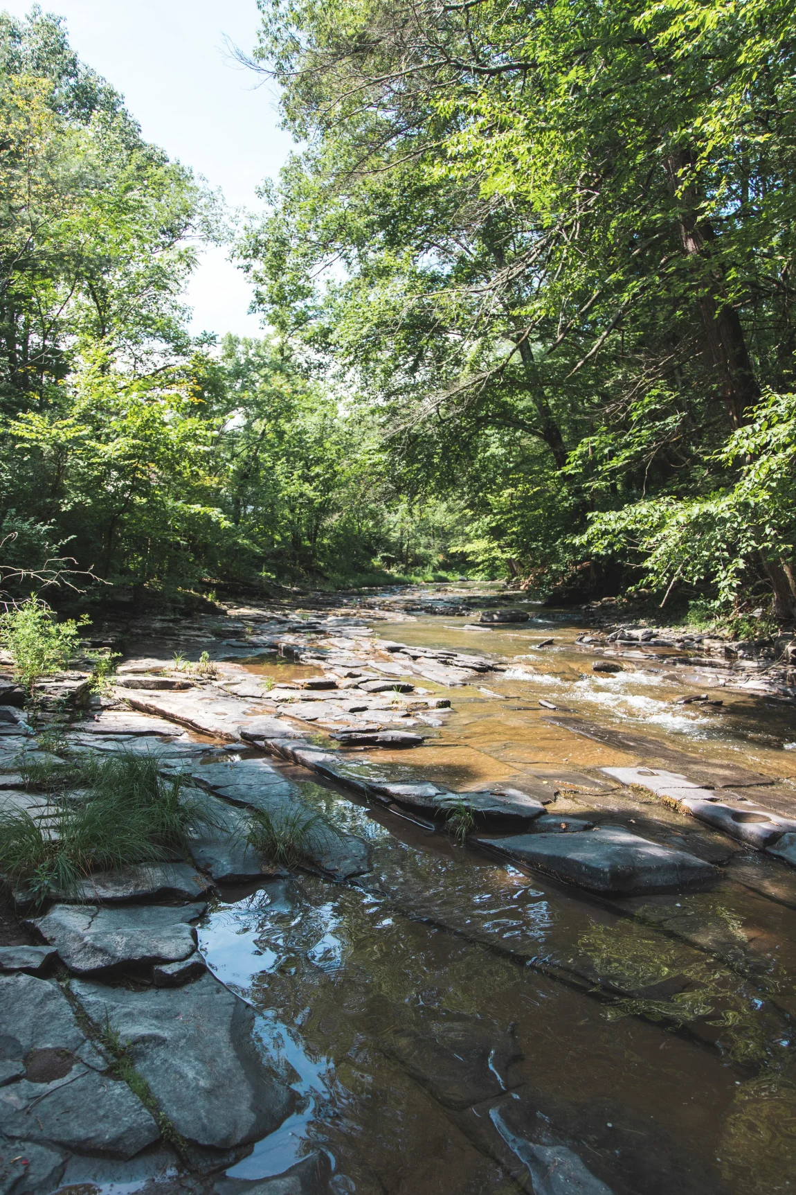 Vegan Chickpea Nicoise Salad - Golubka Kitchen