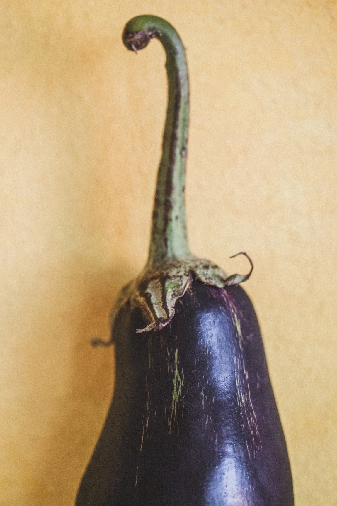 Coconut-Ginger Eggplant Fried Rice - Golubka Kitchen