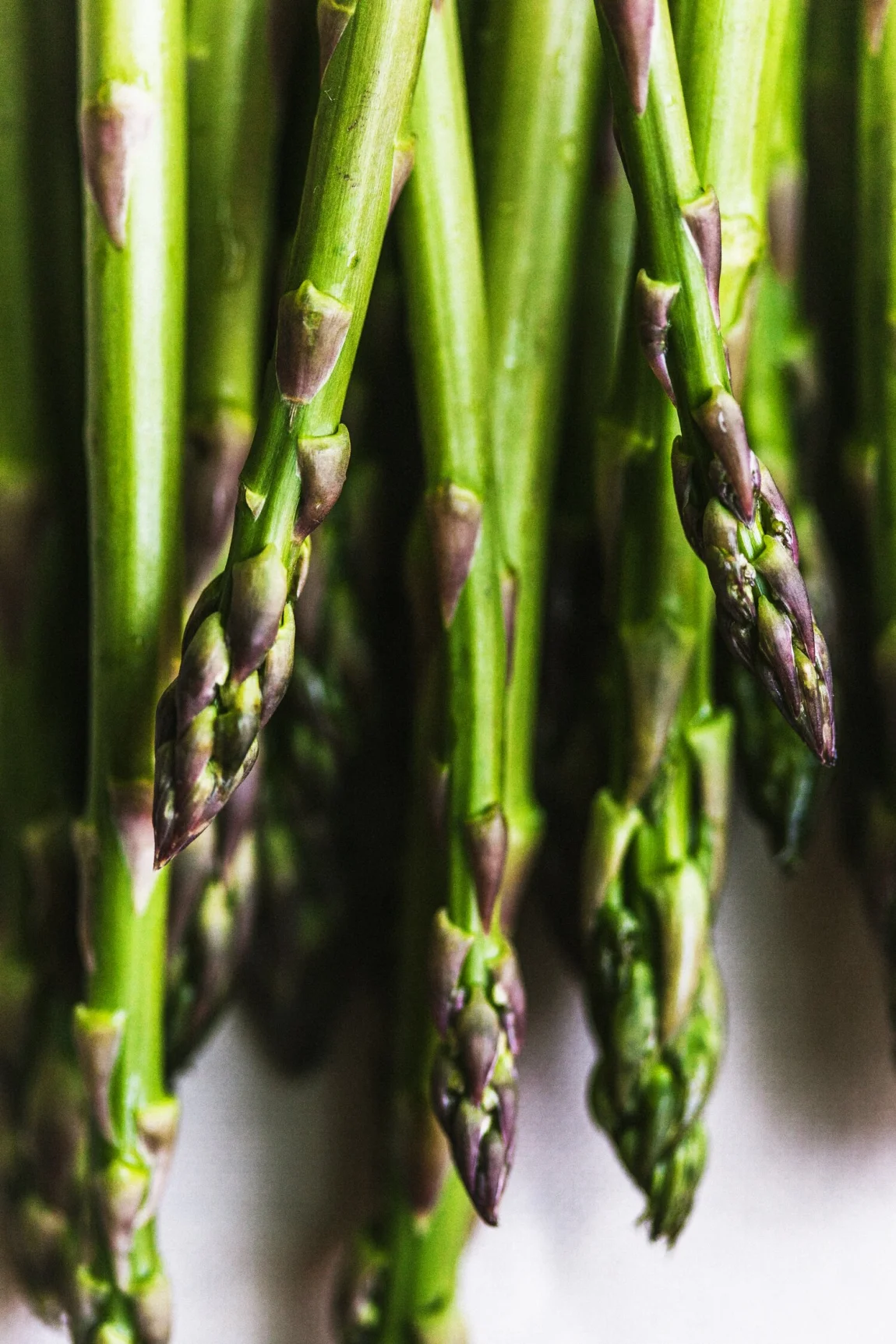 Asparagus Corn Chowder - Golubka Kitchen