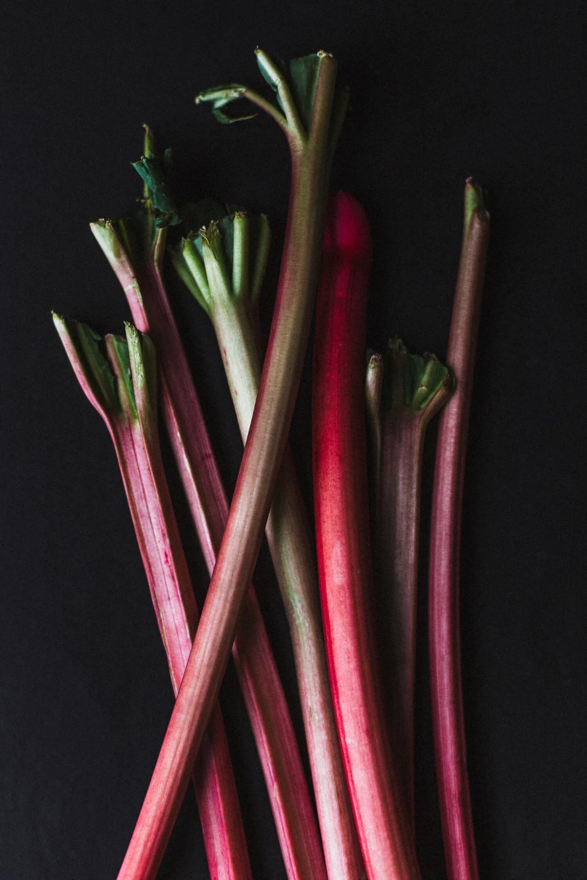 Rhubarb Milk - Golubka Kitchen