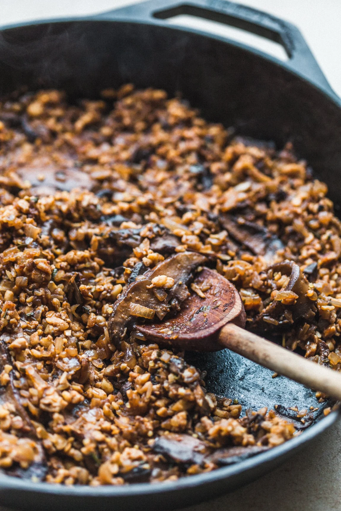 Mushroom Tempeh Stroganoff - Golubka Kitchen