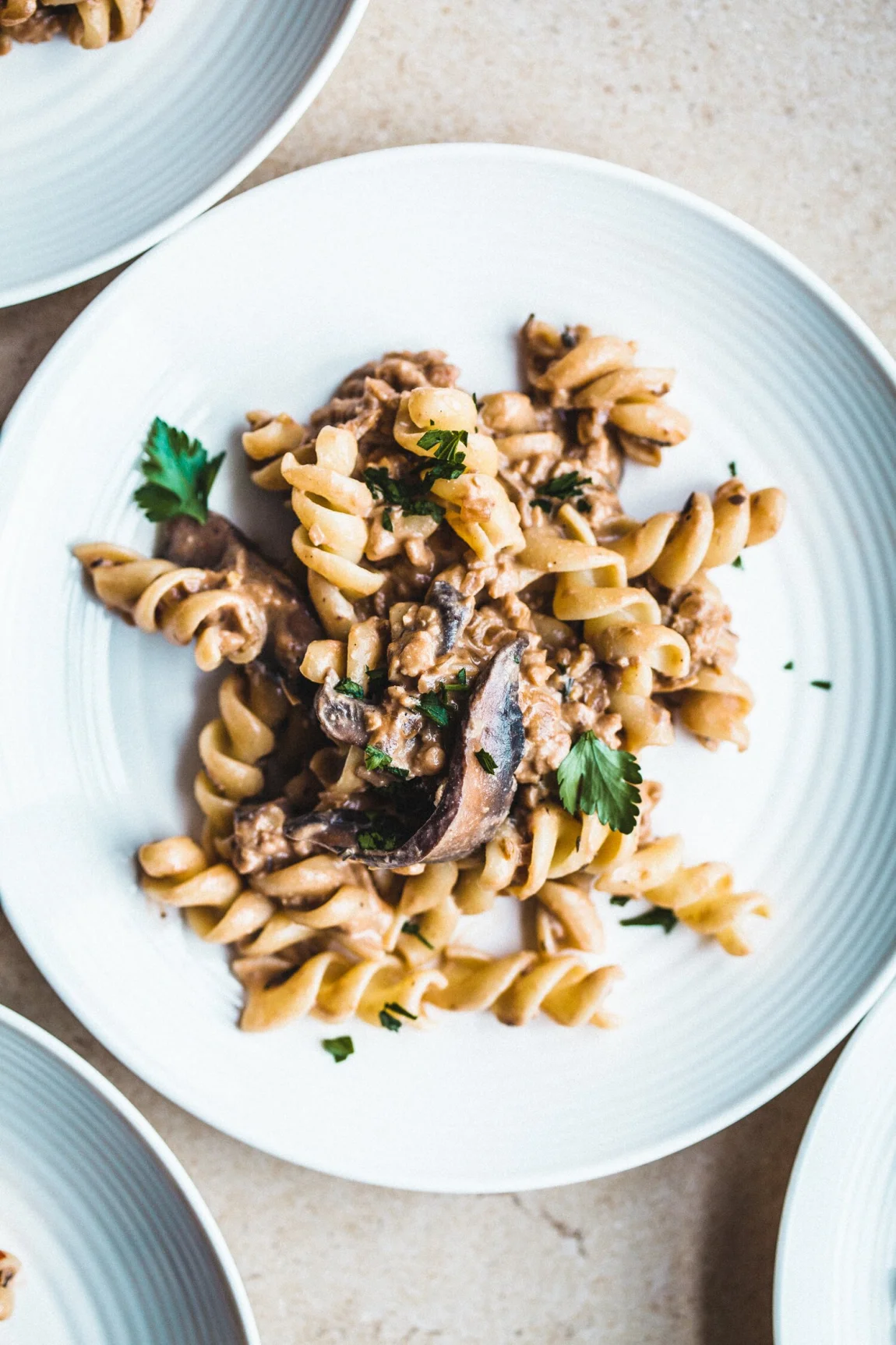 Mushroom Tempeh Stroganoff - Golubka Kitchen