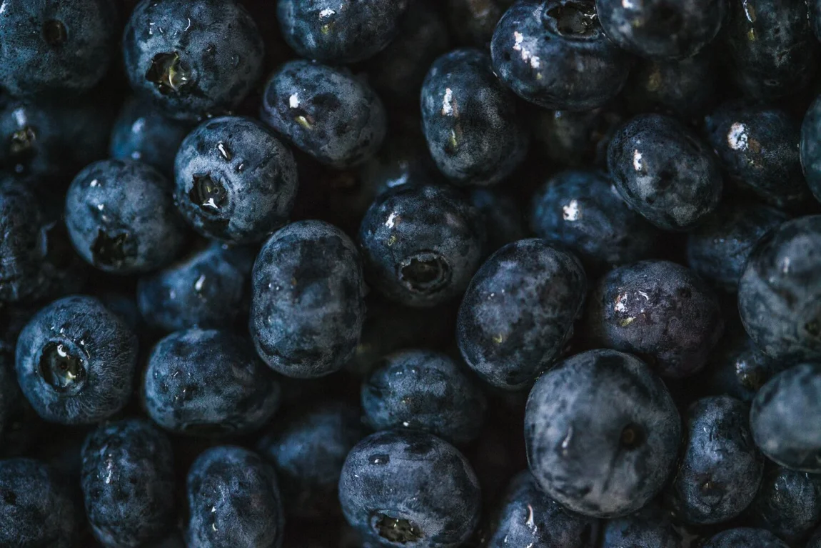 Roasted Berry Sorbet - Golubka Kitchen