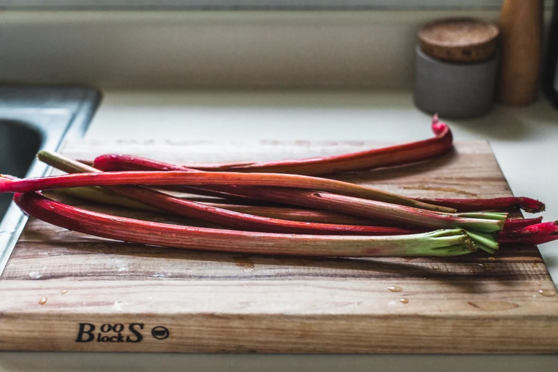 Savory Rhubarb Balsamic Sauce - Golubka Kitchen
